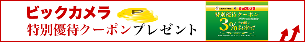 ビックカメラ特別優待クーポンプレゼント